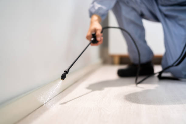 Licensed Pest Control service in Lorenzo, TX - Show Me Pest Control