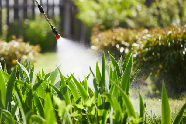 Tamper-Resistant Bait Stations for Rodents in Lorenzo