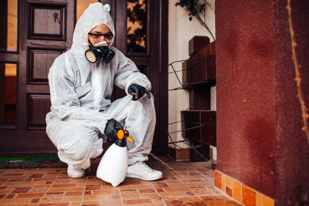 Attic and Crawl Space Rodent Treatment in Lorenzo